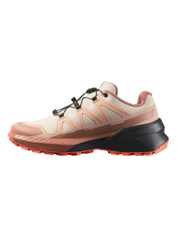 SALOMON Sneaker SPEEDCROSS in TENDER/BURLWO/FUCO