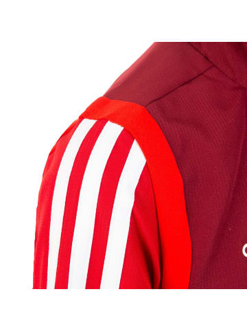 adidas Performance Trainingsjacke Tiro 19 in rot / weiß