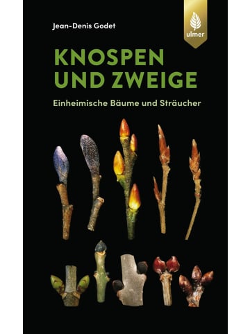 Verlag Eugen Ulmer Knospen und Zweige | Einheimische Bäume und Sträucher