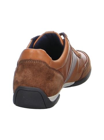 LLOYD Freizeit Schnürer für Herren in mittel-braun