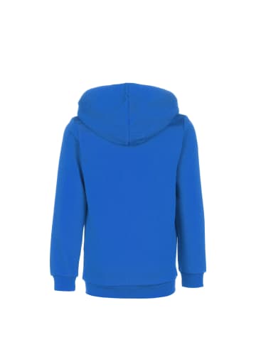 Puma Kapuzensweatjacke teamGoal 23 Casuals in blau / hellblau