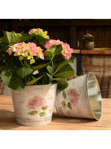 UNUS 2er Set Hortensientopf in Rosa