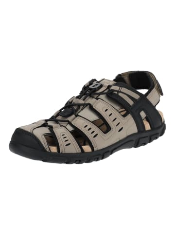 Geox Wanderschuhe in Taupe