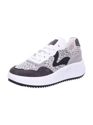Palpa Damen- Schnürschuhe  in Grau