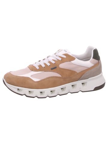 Igi&Co Sneaker UK GTX in Braun