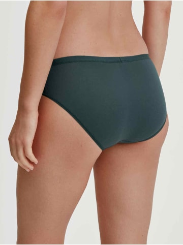 Calida Slip - regular cut - Natural Comfort in Deep emera