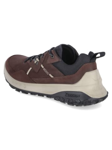 Ecco Sneaker Ult-Trn M in mocha/mocha