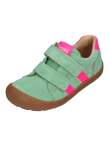 KOEL Sneaker Low DENIS SUEDE in grün