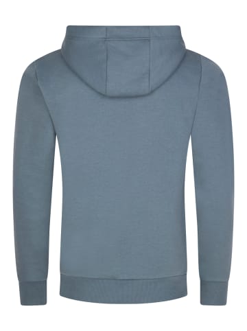 DENIMFY Sweatshirt DFBenno in Blau