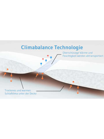 Third of Life Ganzjahresdecke "AERO ActiveClima" mit innovativer Climabalance®-Technologie