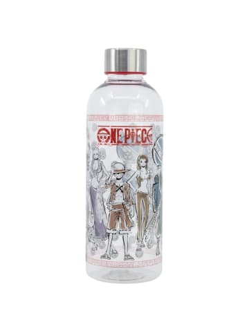 One piece Trinkflasche 850ml Wasserflasche für Schule & Sport