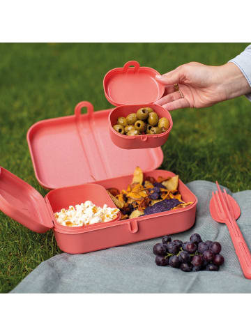 koziol PASCAL READY * - Lunchbox-Set + Besteck-Set in nature coral