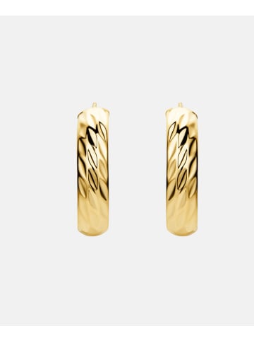 Vanlere Creolen aus 375 Gelbgold