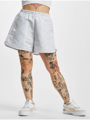 Puma Puma in arctic ice