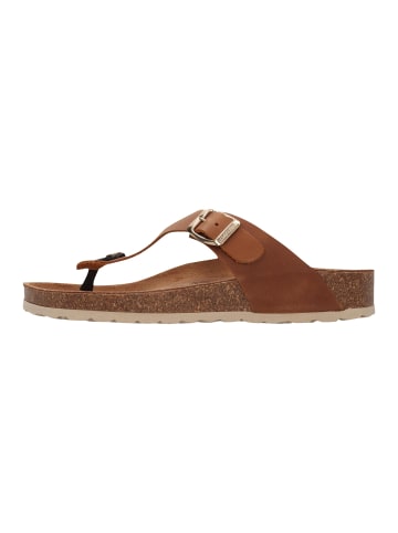 SALAMANDER Zehenstegsandalen Basic in Cognac
