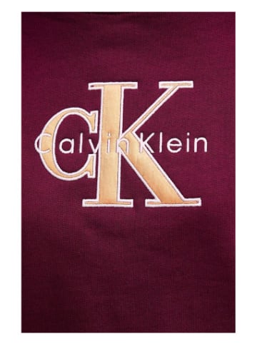 Calvin Klein Sweatshirt in bunt