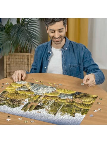 Ravensburger Ravensburger Puzzle 1.000 Teile The Huntington Desert Garden, Kalifornien, USA in bunt