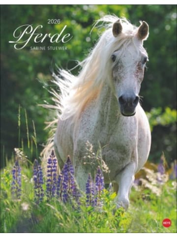 Heye Kalender Kalender - Pferde Classics Posterkalender 2026