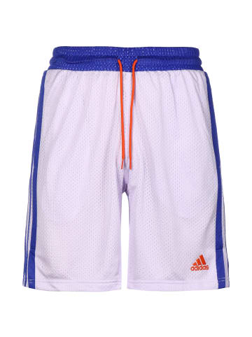 adidas Performance Shorts Summer Legend in flieder / blau