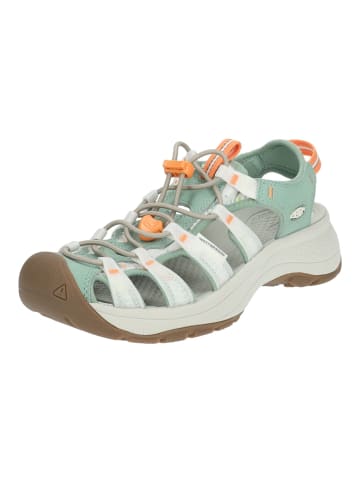 Keen Wanderschuhe in Mint