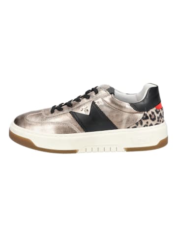 Nero Giardini Sneaker in Bronze