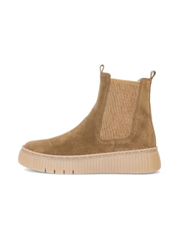 Gabor SHOES "Chelsea Boot" in lion (El. Filz)