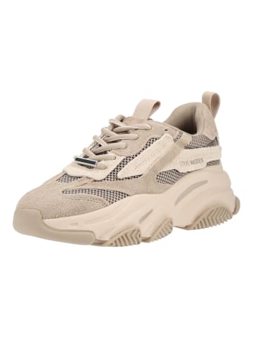 Steve Madden Sneaker POSSESSION-E in Taupe
