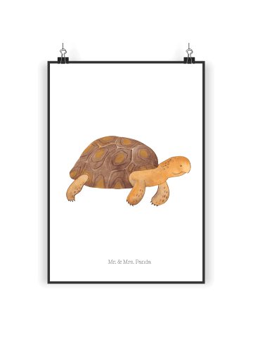 Mr. & Mrs. Panda Poster Schildkröte MHerzieren ohne Spruch in Weiß