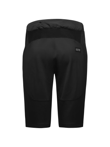 GORE WEAR M FERNFLOW SHORTS in Schwarz