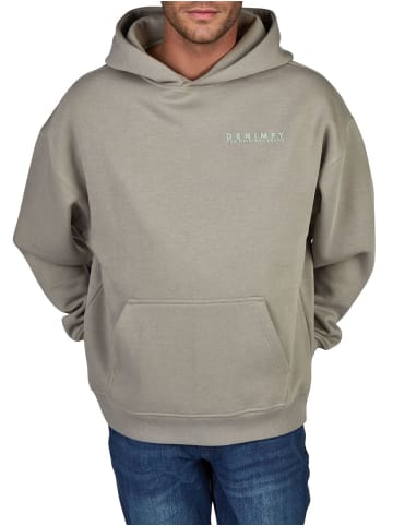 DENIMFY Sweatshirt DFMaxim in Grau
