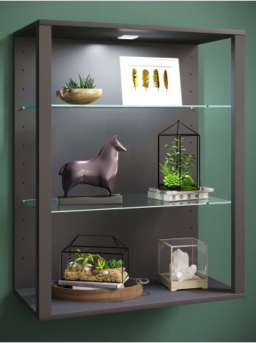 VCM  olz Glas Stand Vitrine Sammelvitrine Glasol LW in Anthrazit