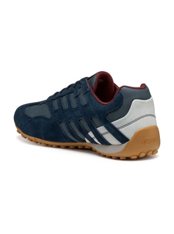 Geox Sportliche Schnürschuhe in Blau