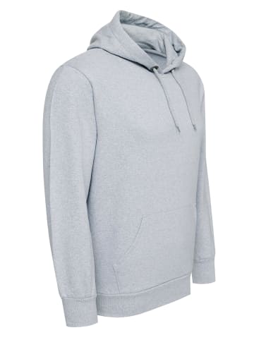 Rusty Neal Kapuzenpullover Regular Fit in Grau