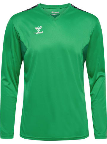 Hummel Sweatshirt Hmlauthentic Herren in JELLY BEAN