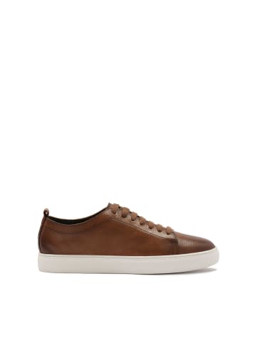 Kazar Sneaker Low in Braun