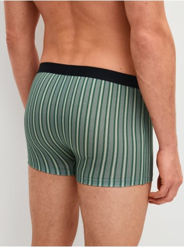 Calida New Boxer, 3er-Pack in agave green