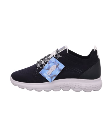 Geox Schnürschuh in blau