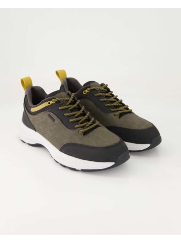 Geox Sneaker low in Grau