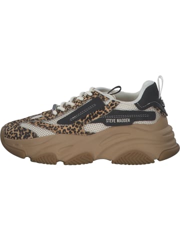 Steve Madden Schnürschuhe in leopard multi