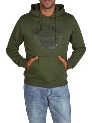 Jack & Jones Pullover JJEADRIAN in Grün