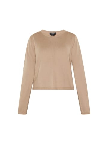 usha BLACK LABEL Women Sweater in beige
