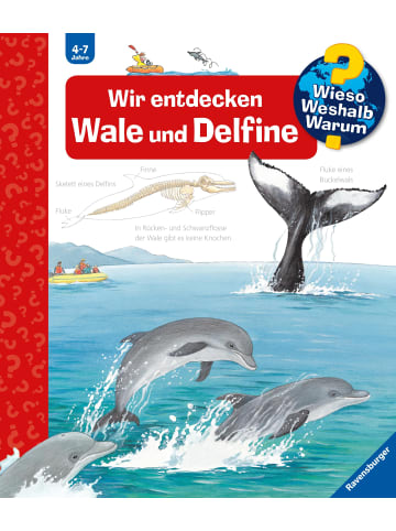 Ravensburger Wieso? Weshalb? Warum?, Band 41: Wir entdecken Wale und Delfine