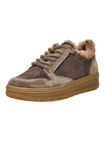 Paul Green Sneaker in Braun