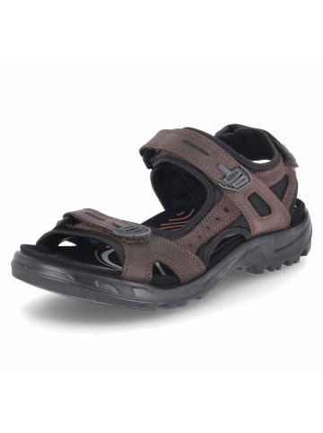 Ecco Sandalen OFFROAD in braun