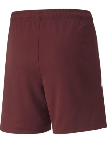Puma Sporthose "TeamLIGA Shorts Jr" in Rot