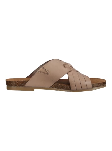 Cosmos Comfort Pantoletten in Taupe