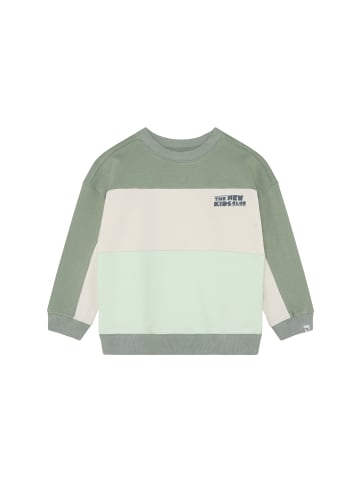 Noppies Sweater in Lily Pad