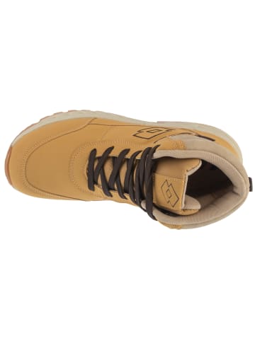 Lotto Lotto Evedal Mid in Braun