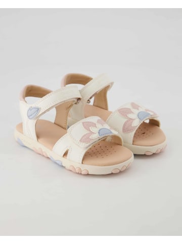 Geox Klettschuhe in Weiß