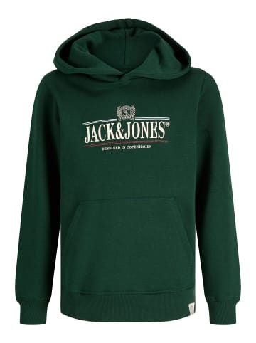 JACK & JONES Junior Kapuzenpullover in Pine Grove